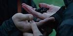 Would Katniss Have Eaten the Berries?