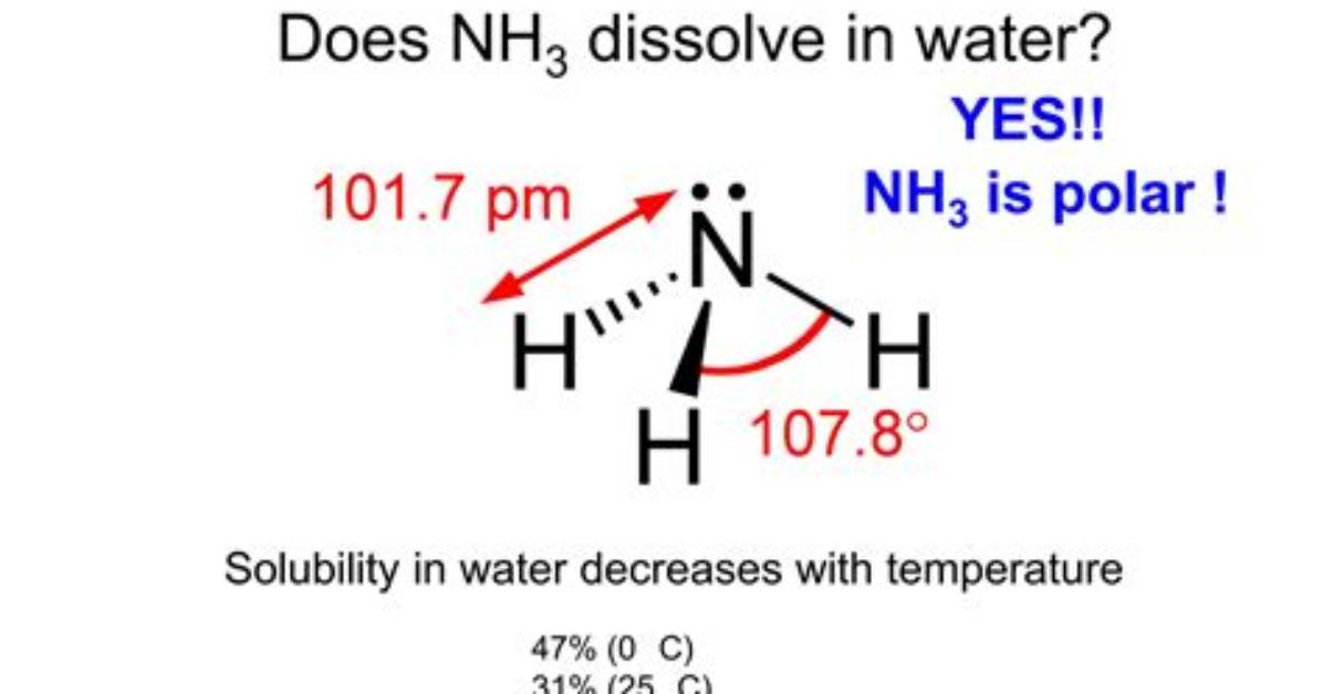 Would Nh3 Dissolve in Water?