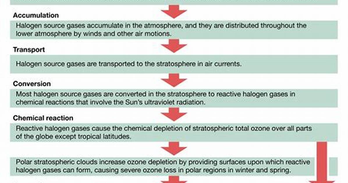 Would the Process of Ozone Depletion?