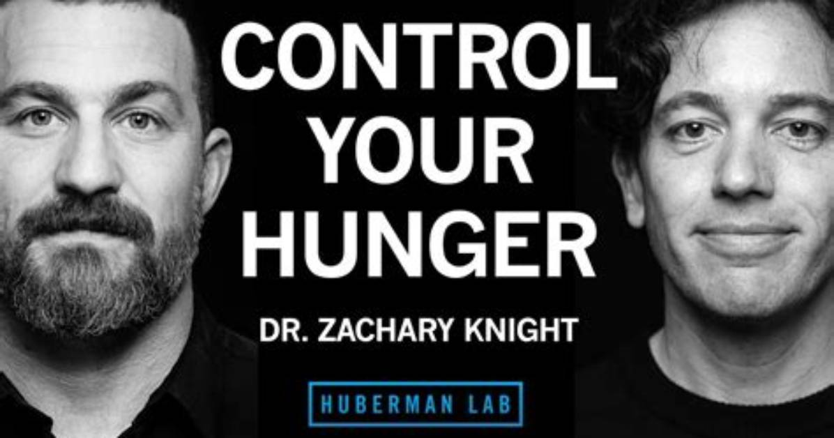 Zachary A. Knight: a Comprehensive Exploration of His Life, Achievements, and Expertise